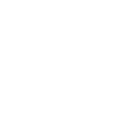 Shirt laundry icon