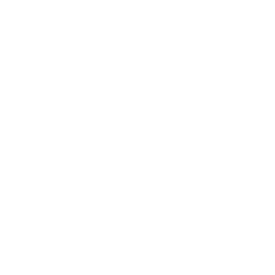 Wedding gown cleaner icon